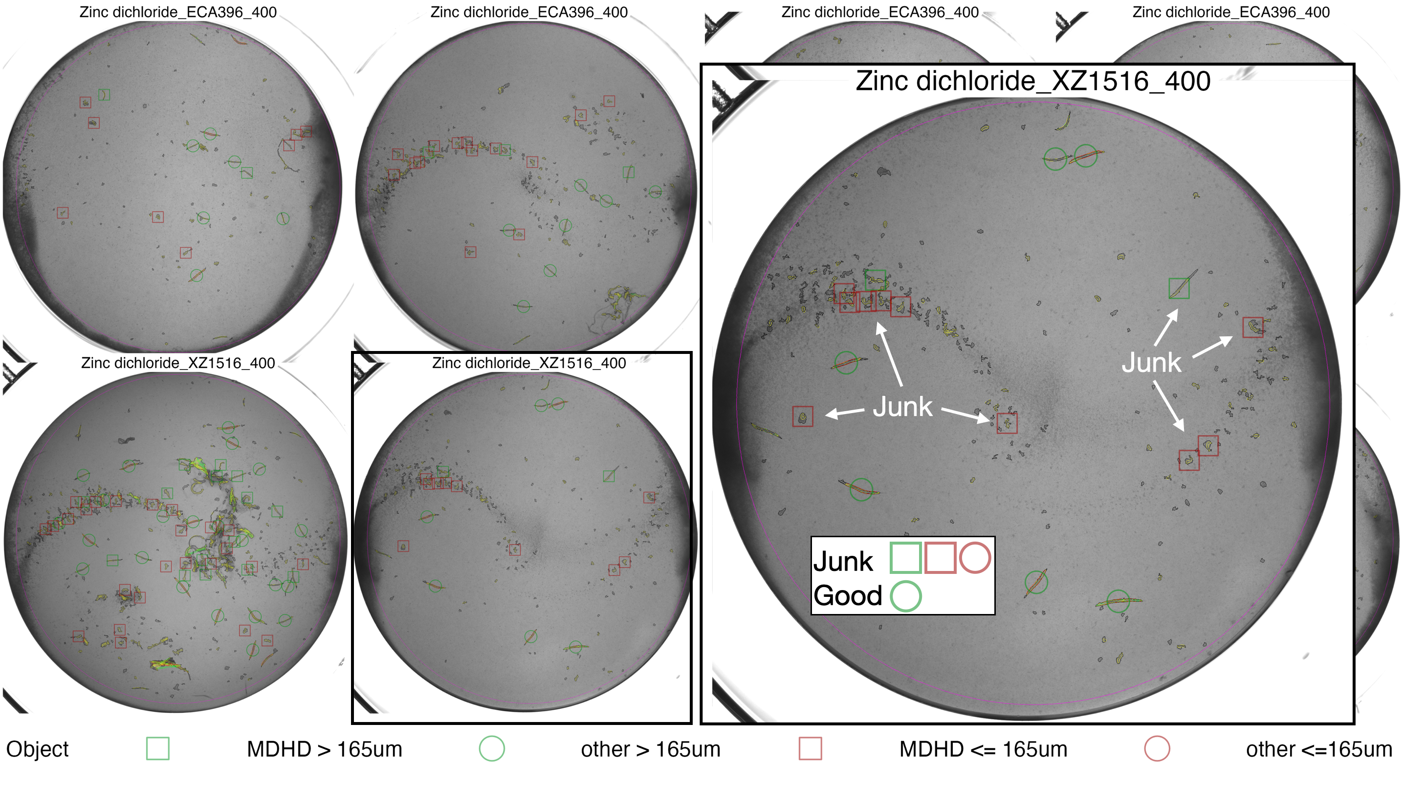 **checkModels() output for Zinc dichloride** - The MDHD objects are all junk or improperly segemnted worms, objects < 165um are also problematic. These objects should be filtered. The large inset overlaid on the right of this plot is provided to show the objects in more detail, it is not included in the acutal function output.