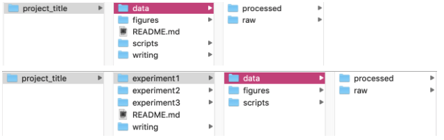 directory_structure